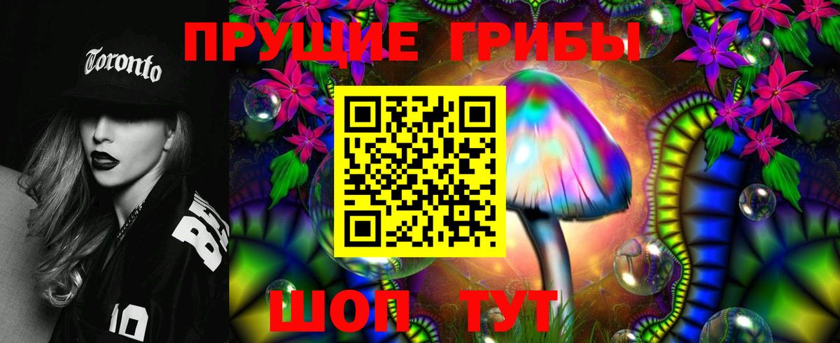 Сухой Лог  Псилоцибиновые грибы прущие грибы  Вход с VPN  Галлюциногенные грибы GOLDEN TEACHER 